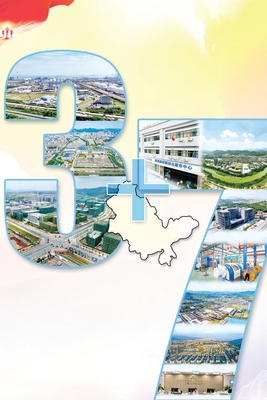 惠州強(qiáng)化產(chǎn)業(yè)集聚 園區(qū)差異化集聚化發(fā)展更具特色