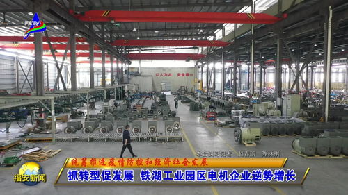 抓轉(zhuǎn)型促發(fā)展 鐵湖工業(yè)園區(qū)電機(jī)企業(yè)逆勢(shì)增長(zhǎng)