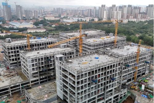 青島市北 大健康產(chǎn)業(yè)園片區(qū)美青工業(yè)園一期全部樓座主體封頂